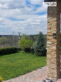 Петрушки, Березова • ID 34733284