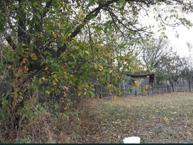 Продаж 1 поверхового будинку 30 кв. м, 1 кімната • ID 34732644