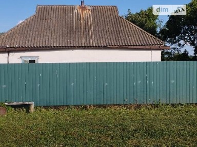 Радченки