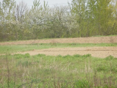 Закарпатська обл., Ужгородський район, с. Тийглаш