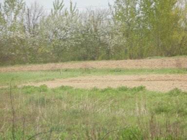 Закарпатська обл., Ужгородський район, с. Тийглаш