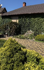 Оренда будинку 155 м², Промислова (Бортничі) вул.