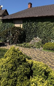 Оренда будинку 155 м², Промислова (Бортничі) вул.