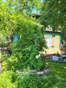 Чернігівська область, Боромики