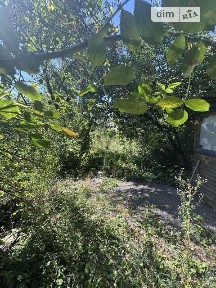 Юнацька вулиця, район Київський, Полтава, вул. Юнацька • ID 34740341