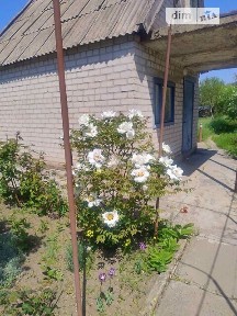 Продаж 1 поверхового будинку 25 кв. м, 2 кімнати • ID 34739878