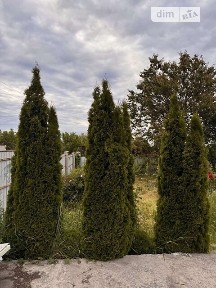 Продаж 1 поверхового будинку з гаражем 65 кв. м, 3 кімнати, на шосе Херсонський шлях • ID 34739784