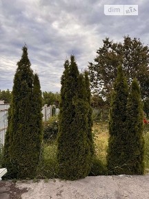 Продаж 1 поверхового будинку з гаражем 65 кв. м, 3 кімнати, на шосе Херсонський шлях • ID 34739784