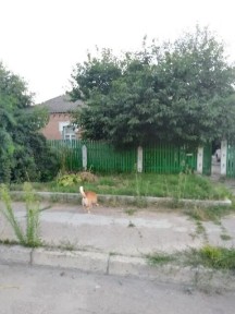 Продаж 1 поверхового будинку з ділянкою на 3 сотки, 80.3 кв. м, 4 кімнати, на вул. Кільцева • ID 34737458