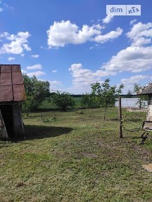 Королівка, вулиця Миру • ID 34736683