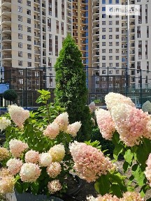 Продаж 2к квартири 68 кв. м на вул. Краснова • ID 34739186