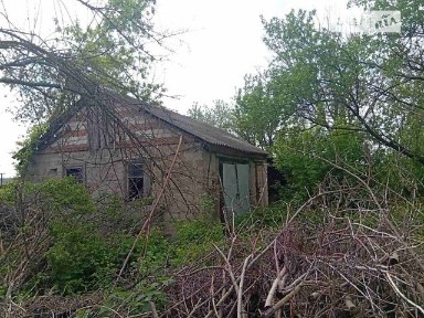 Продаж 1 поверхового будинку з ділянкою на 230 соток, 65 кв. м, 3 кімнати, на Озерна • ID 34743333