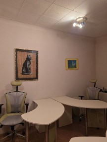 Оренда офісу, печерськ, лабороторний провулок 24, перший повкрх