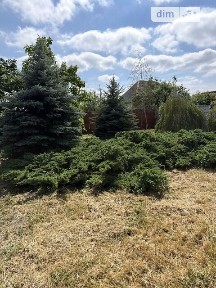 Продаж 1 поверхового будинку 110 кв. м, 3 кімнати • ID 34749226