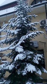 Продаж заміського VIP будинку дачі з ділянкою 11 соток у с. Стара Андріївка