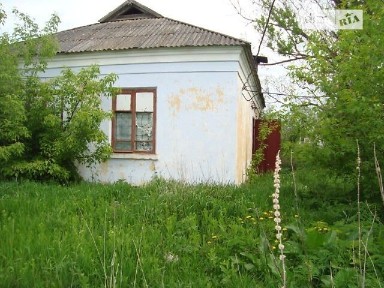 Здається спеціальне приміщення на Центральна 29, площа 59.2 кв. м • ID 34757612
