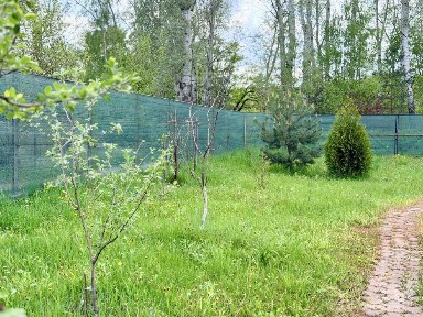 Дача Олдиш на березі річки