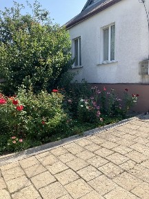 Продается пол- дома в с. Черкасская Лозовпя. Общ. 84,64,жилая48,23. Одтдельный заезд, двор и огород. Большая кухня, 3 комнаты, санузел, коридор,.
