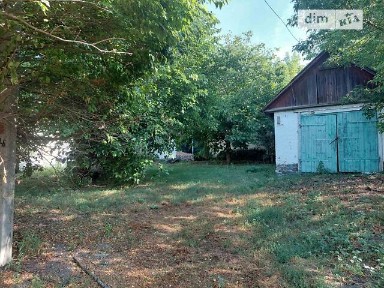 Продаж 1 поверхового будинку з ділянкою на 60 соток, 99 кв. м, 5 кімнат, на вул. Героїв Майдану 36 • ID 34745461