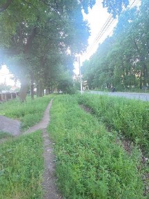 ТЕРМІНОВО Продам фасадний будинок в селі Агрономічне який виходить на вулицю Центральна. Від власника!