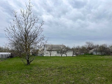 Маєток з будинком 100+ кв метрів, 45 сот і власний ліс (49 км від Києва) с. Підлісся.