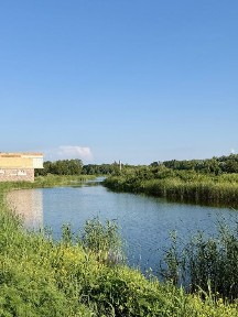 Без комісіі Будинок з лазнею загальна 274 м2 9 соток з виходом у ліс та озеро Голосіівський заповідник КМ Крістал Ходосівка Мануфактура МегаМаркет