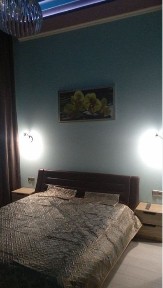 Аренда 3 км. кв. 2/9 м. Барабашова