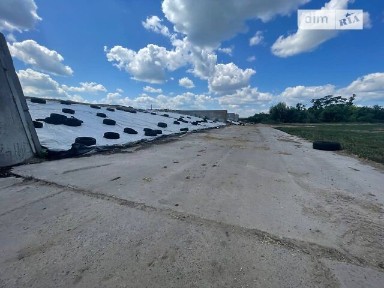 Продаж комерційного приміщення на вул. Центральна, площа 7018 кв. м • ID 34535338