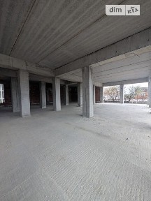 Продаж комерційного приміщення на пров. Симона Петлюри 7/3, площа 900 кв. м • ID 34189351