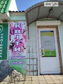 Слави вулиця, Чигирин, вул. Слави, площа 145 кв. м • ID 34059520