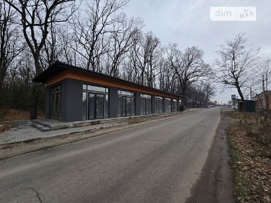 Головна вулиця, Прибузьке (Шкуринці), вул. Головна, площа 140 кв. м • ID 33722495
