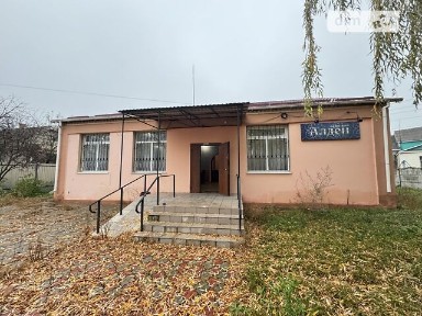 Продаж комерційного приміщення на вул. Центральна, площа 129.5 кв. м • ID 33691061