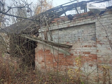 вулиця Центральна, Петрик, вул. Центральна 64, площа 483 кв. м • ID 33678979