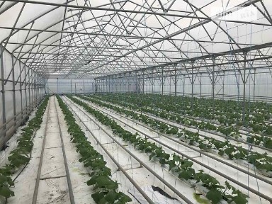Продаж комерційного приміщення на вул. Польова 8, площа 1600 кв. м • ID 33550705