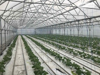 Продаж комерційного приміщення на вул. Польова 8, площа 1600 кв. м • ID 33550705