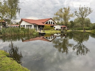 Продаж комерційного приміщення на вул. Центральна, площа 1300 кв. м • ID 33536045