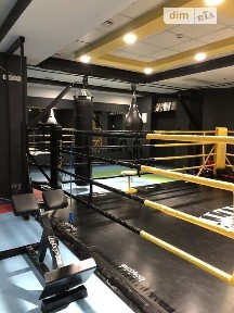 вулиця Мрії, Буча, вул. Мрії, площа 280 кв. м 33518646