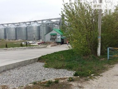 вулиця Молодіжна, Мшанець (Теребовля), площа 3869.5 кв. м • ID 33475670