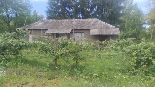 Виноградів-Теково: оренда приміщення 202 м² та ділянки 0,57 га