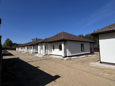Купуй будинок біля лісу і отримай генератор в подарунок