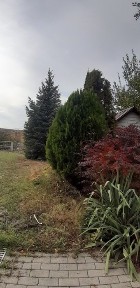 Продам будинок-дачу, р-н Ямбурга, с.Кам'янка з чудовим видом на річку