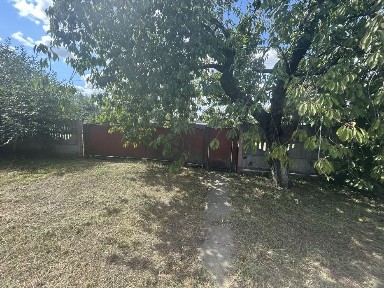 Продам затишний будинок 70 м² біля Пирятина (с. Олександрівка) + 32 сот.