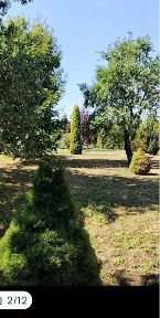 Продається будинок для великої сім'ї з великою ділянкою