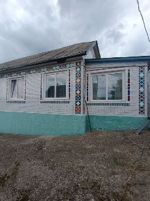 Продається будинок Кам'янка