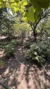 Продається половина Дому на 9 Лінії, Херсонське шосе