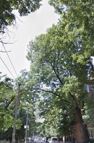 Здаеться комер. прим. Герцена 54м2 на початку ближче до Головноі