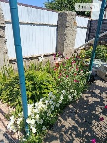 Радісна вулиця, район Шевченківський, Запоріжжя, вул. Радісна 34765616