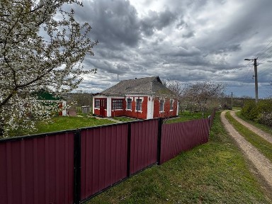 Будинок 74,9 м² у с. Гродзеве + велика земельна ділянка