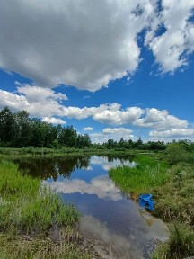 Продаж двоповерхового садового будинку! ДАЧА. Поблизу озера і лісу! Кам'яногірськ. Камін.