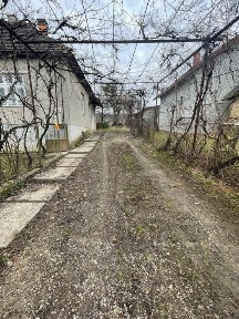 Здається в оренду будинок в Циганівцях